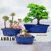 MUZHI 3 Pack Ceramic Rectangular Bonsai Tree Planter Pot Set