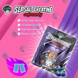 Lendioo Lendioo Sea Salt Creatine Gummies with 5 Mixed Berry Flavors - Balanced Nutrition for Health, 30 Servings (5g/Serving), 90 Individually Wrapped Portable Gummies (90 Grains, Lemon)