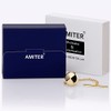 AMITER Shiny Tie Tack Clip for Men Square Tie Pins
