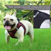 PINA Dog Harness for Small Dogs No Pull, Small Dog