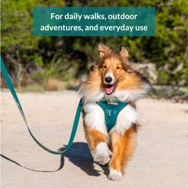 DJANGO Tahoe No Pull Dog Harness – Comfortable, Durable, and Padded Harness with Front and Back D-Rings and Reflective Piping – Adjustable and Secure Design for Everyday Use (Small, Dark Teal Green)