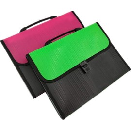 Dwellton Expanding File Folder, 13 Pockets Accordion Organizer for A4 Letter Size Documents, Receipt & Paper Filing, Perfect for Classroom, Home, Office & Travel - File Pocket (Pack of 1, Assorted)