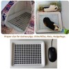 Guinea Pig Litter Tray Pan with Grate, Rat Litter Box