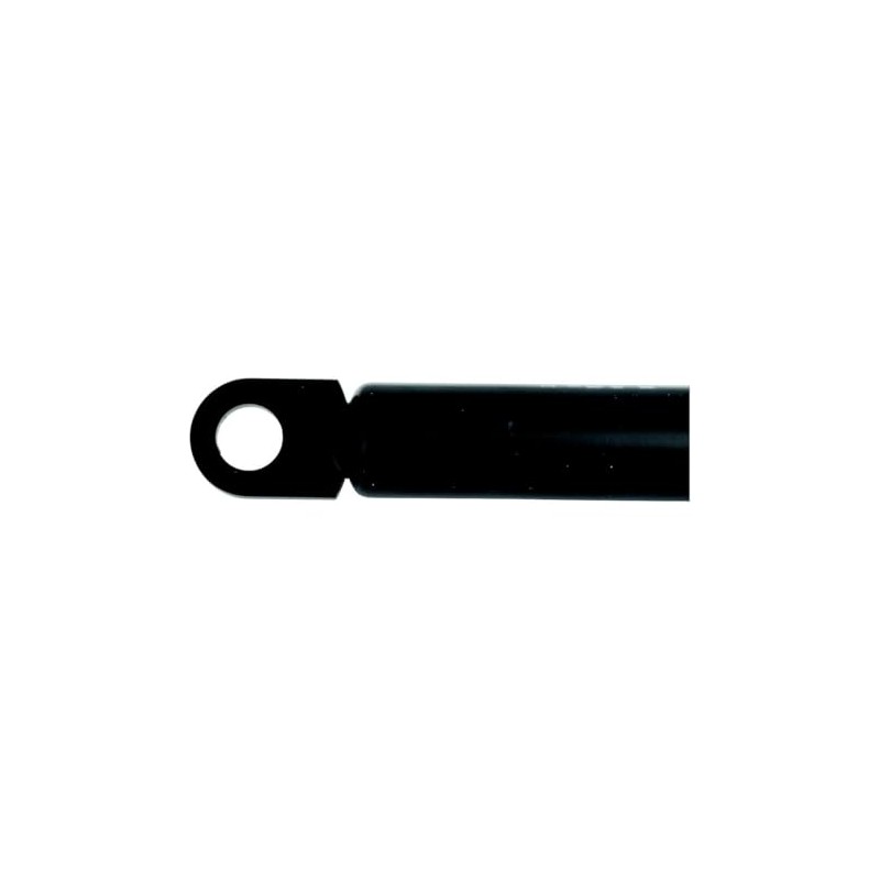 attwood Lift Gas Spring Standard Output Force: 20 lbs, Size:
