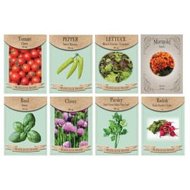 Patio & Container Garden Kit – 8 Heirloom Seeds for Small-Space Gardening | Grow Tomatoes, Lettuce, Peppers, Herbs & Marigolds in Pots or Planters