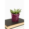 rePotme 4 inch Orchid Pot 3 Pack - Slotted Orchid