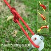 Guy Rope, Tent Rope, Camping Rope, Tarp Rope, Paracord, Set