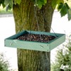 Lyric Cardinal Wild Bird Seed - Sunflower & Safflower Premium