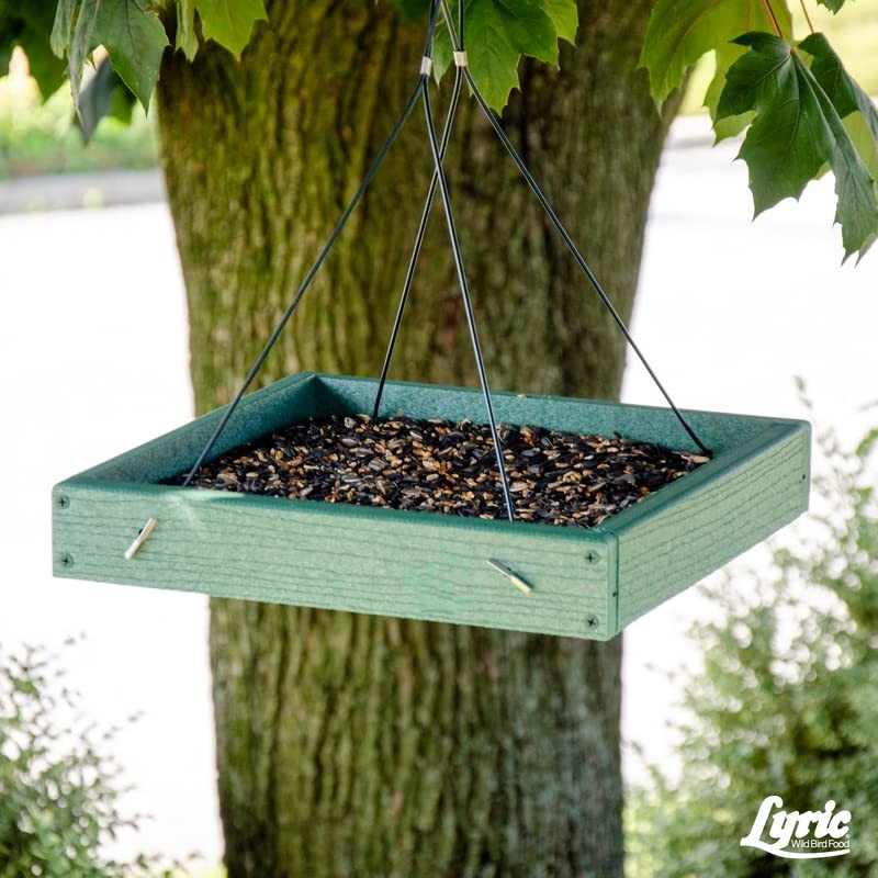 Lyric Cardinal Wild Bird Seed - Sunflower & Safflower Premium