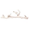 Koyal Wholesale 24" Natural Grapevine, Sandblasted Reptile Wood Branches, Terrarium