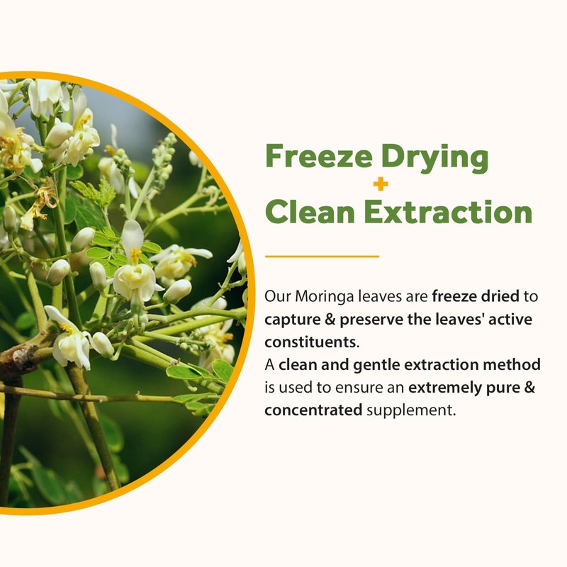 Doctor's Recipes Moringa 11,000 mg Strength, Complete Green Superfood, Natural