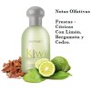 Perfume Unisex Kiwi Clásico 120 Mil. + 15 Mil.zermat