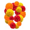 Orange and Yellow and Red Paper Pom Poms,10",12" Tissue Pom
