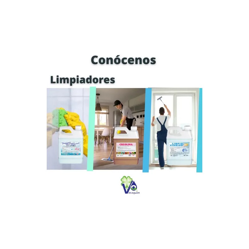 Shampoo Para Auto Alta Espuma Y Cera 1lt Vitraquim Hogar