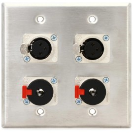 Pro Co WP2040 Double Gang (2) XLRF - (2) TRSF Latching Wall Plate
