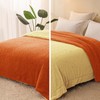 Exclusivo Mezcla Reversible King Size Sherpa Fleece Blanket, Soft Plush