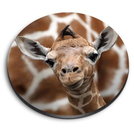 1 x Round MDF Magnet - Cute Baby Giraffe Face Wildlife 12323