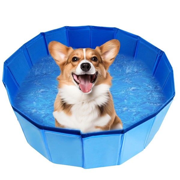 Portable Plastic Pool for Dogs, Dog Pool, 24 x 8