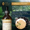 RAW Forest Foods Forest Prana Pine Pollen and Nettle Root