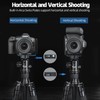 Nitze L Bracket for Canon R6 Mark II/ R6 /