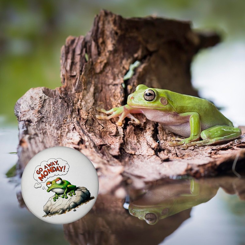 Grumpy Frog on Stone Magnet Round with Saying Go Away,