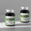 트리플징코플러스 1병 복수구매할인 Triple Ginkgo Plus 1 Bottle Bulk Purchase