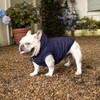 Vecomfy Sudadera con capucha para perro extra cálida con forro