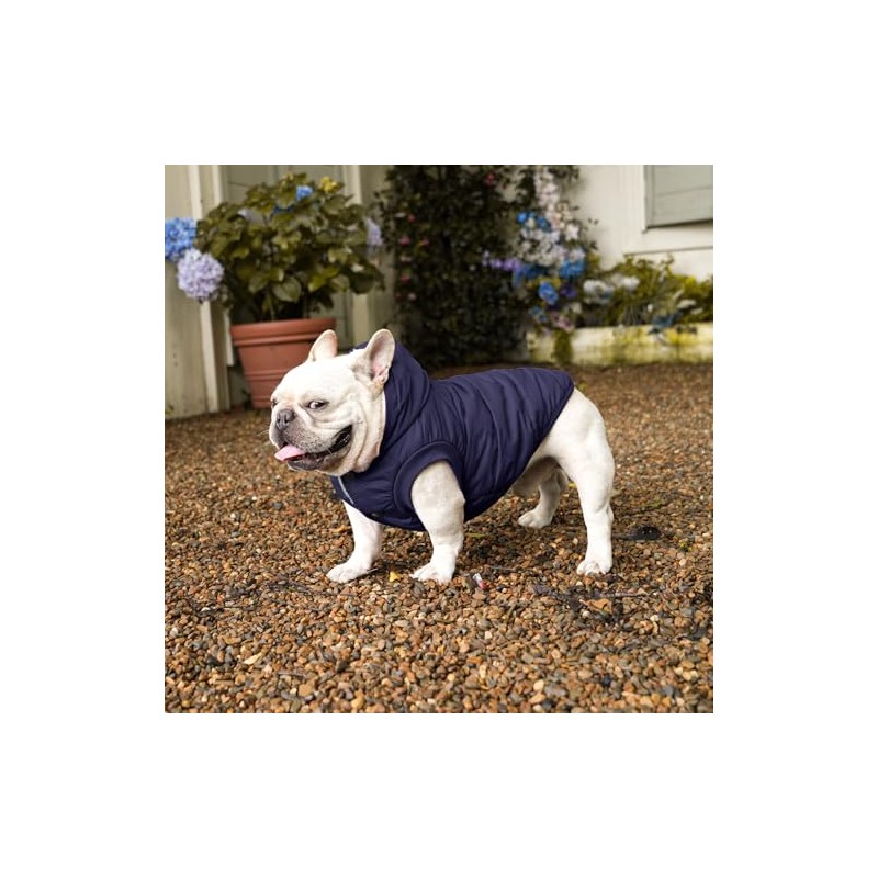 Vecomfy Sudadera con capucha para perro extra cálida con forro