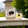 EBC Collection Flower in Dream Eau de Parfum 3.4 FL