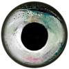 Brule Epoxy Fish Eyes (Sleet, 11mm)
