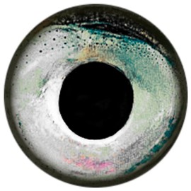 Brule Epoxy Fish Eyes (Sleet, 11mm)