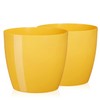 Tymar Pack of 2 Round Shape Planter (Yellow, Diameter 16