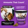 Nutri-Vet Pre & Probiotics for Dogs, Digestive Support, Upset Stomach,
