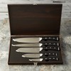 Berghoff Antigua 5Pc Knives With Case German Steel Etched Blade
