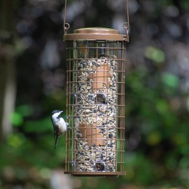 Perky-Pet Squirrel Stumper Wild Bird Feeder - Keep Squirrels Out - 8 Feeding Ports for Wild Birds - 3 lb Wild Bird Seed Capacity - 114B, Copper - Decor for Outdoors