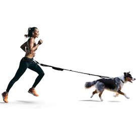FITLY - Cinturón para correr para perro, correa para perro, arnés Canicross para llevar artículos personales para correr, caminar, caminatas, correas para la cintura para perros con bolsa de cinturón,