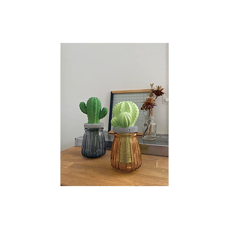 Moisturizing Mascot Cactus Glass BR AG-28085