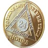 24 Hours AA Medallion 22K Bi-Plate Gold Plated Premium Serenity