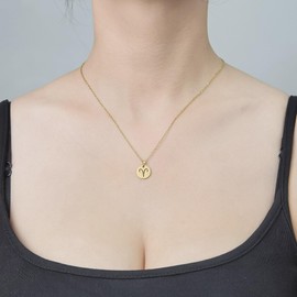 Caimeytie 1 Necklace with 12 Pendants - Stainless Steel Necklaces for Women and Girls - 12 Constellation Pendant Necklace Astrology Jewellery Gift for Women, Stainless Steel