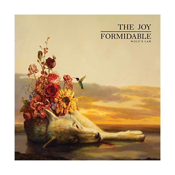 Wolf's Law by The Joy Formidable [Audio CD]