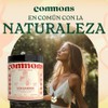 Commons Hongos Adaptógenos - Hongo de Baya Schisandra - Extracto