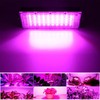Indoor Plant Growing Lamp Full Spectrum LED Grow Light for