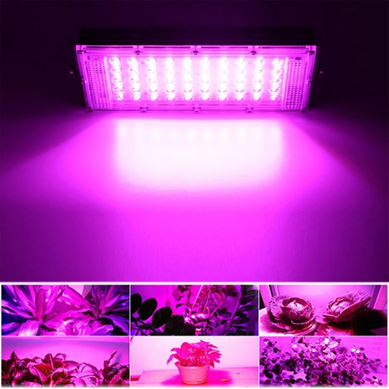 Indoor Plant Growing Lamp Full Spectrum LED Grow Light for