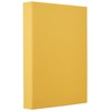 Nakabayashi Terracotta TER-L3P-140-Y Pocket Album With Perfect Binding, Large Size,