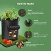 3Pack Potato Grow Bags, Garden Planting Bag with Reinforced Handle,