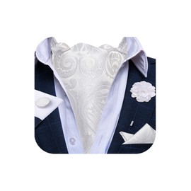 DiBanGu White Ascot Ties for Men Paisley Cravat with Pocket Square Lapel Pin Cufflinks Silk Selftied Scarf Tie Wedding Ascot