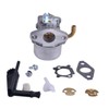 BEIYIPARTS Carburetor for Coleman PowerMate PM0401851 PM0543250 PM0543000 PM0543250 4000