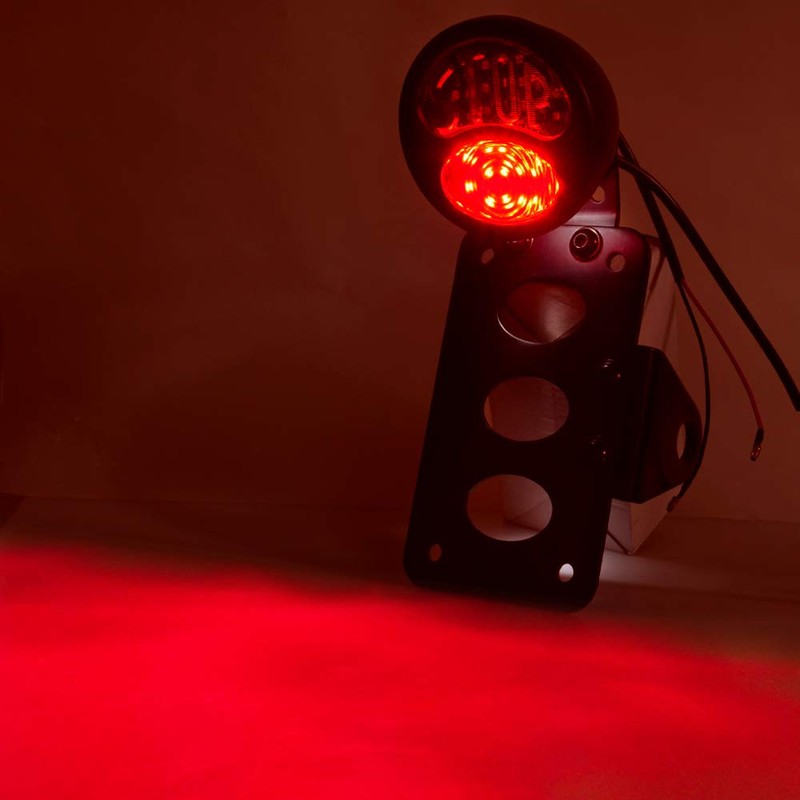 Amazicha Motorcycle LED Tail Light Brake Rear light 1" side