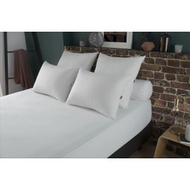 Dodo Mattress Protector, Sponge, White, Customized