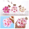 Flower Marika Cherry Blossom Herbarium Birthday Gift Sakura Katachi (Hizakura